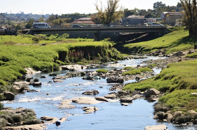 Alexandra Water Warriors fight daily to save Jukskei River through a campaign of clean-ups and educational drives.