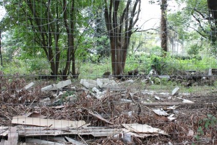 The rubble and rubbish that has been dumped on the vacant lot.