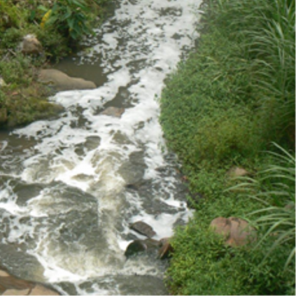 The Palmiet River was contaminated with sewage on Monday, 8 December. 