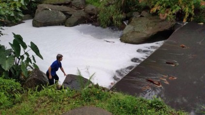 Ingrid D-Eathe from the Palmiet River Watch inspects the foam that was caused by a sewage spill into the Palmiet River on Monday. 