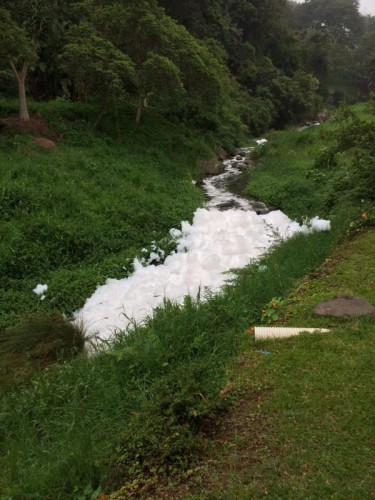 The Palmiet River was contaminated with sewage on Monday, 8 December. 