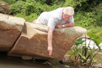 Ward councillor, Andre Mitchell, looks at two dead fish that were found under a boulder in the Umbilo River in Queensburgh.