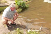 Ward councillor, Andre Mitchell, looks at dead fish that were found in the Umbilo River in Queensburgh.