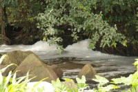 Thick foam was still washing down the river on Wednesday, 11 February.