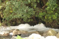 Thick foam was still washing down the river on Wednesday, 11 February.