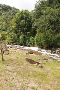 Dead fish were found in the Umbilo River.