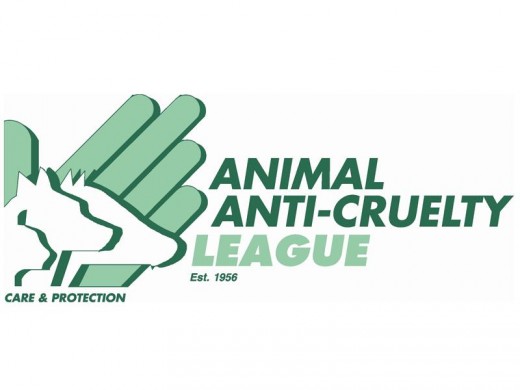 animal-anti-cruelty_37423