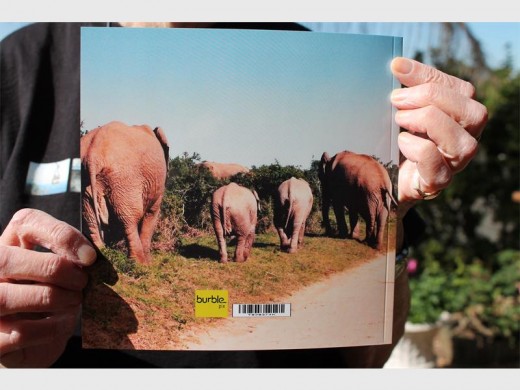 The back of the African Elephants wrap.