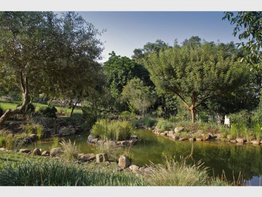 Garden 5 is at 91 Everton Road in Kloof.