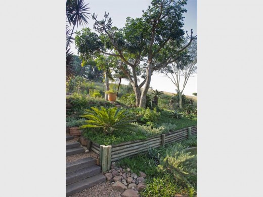 Garden 6 is situated at 24 Windsor Road in Kloof.