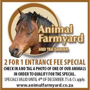 Animal farmyard2