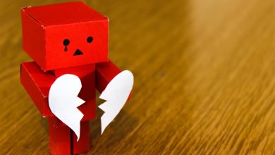 Red Amazon Danbo on Brown Wooden Surface