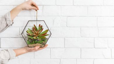 Help your child make a DIY Glass terrarium