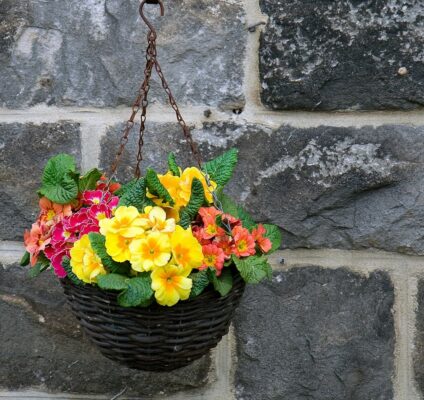 Alice Coetzee - 03-06-2022- gardening- we're planting photo 4 (2)