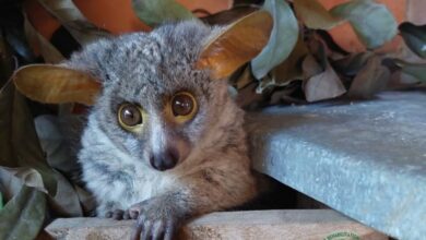 281527264_5231824996837807_848018522062522427_n