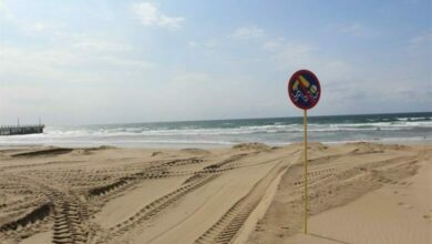 50tgcovid_87337-780x470-1-780x470