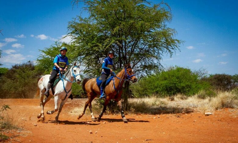 Equestrian Camdeboo 4