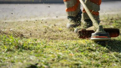 pexels-pascal-küffer-11400234 (Large)