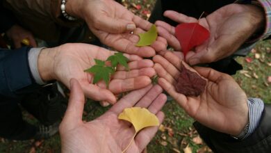 tolerance-3824208_960_720