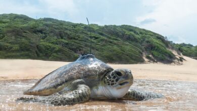 323437210_895474341575662_2221093470100123128_n