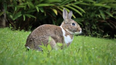 8DBC9C57-CA7B-4050-BD58-37FFF288DF27