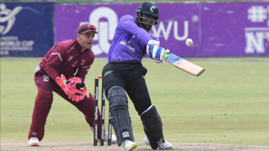 ODCPhehlukwayoDragons