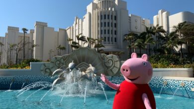 62fc1c53-06be-4ad6-ada4-92a24248b3db