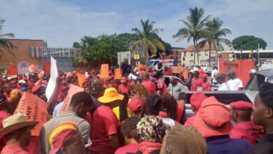 95293155-6298-407E-B7D1-2A2BEE5E94D2