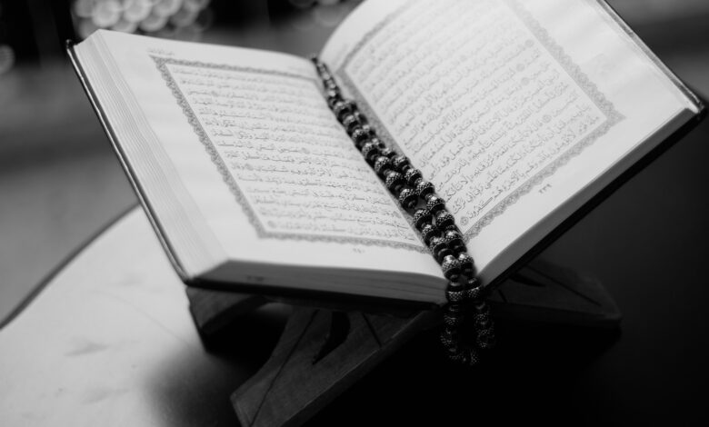 book-g4c1bdf2d8_1920