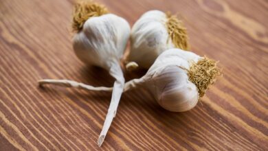 pexels-photo-1460862