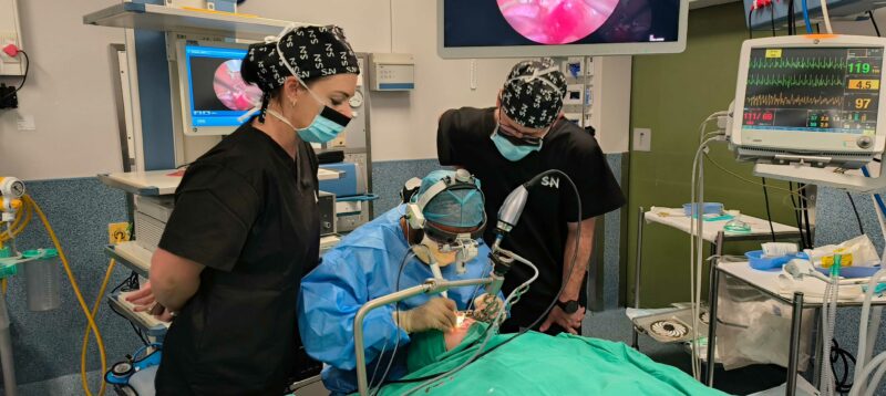 From left Dr Tamaryn Danhiller (Bloemfontein), Dr Devesh Ramdhani (Life Westville Hospital) and Dr Gideon van Tonder (Namibia) during the live surgery demonstration. 