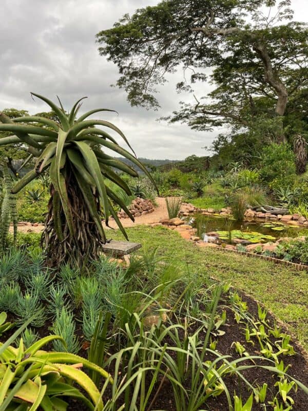 Explore stunning indigenous landscapes, support conservation, and connect with nature at the Indigenous Open Gardens.