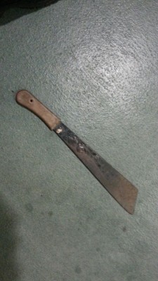 Panga