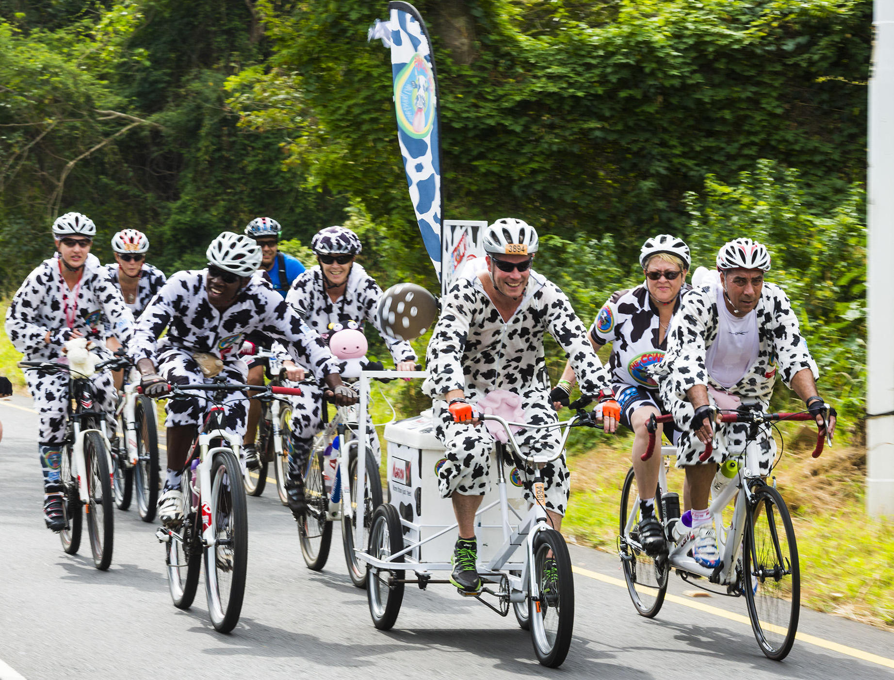 Part of the Cows herd taking part in the aQuellé Tour Durban 45km Fun Ride last year with Gordon Reid riding the ice cream cart. The Cows have welcomed any social rider to join a special Cows batch for the out-and-back loop to eMdloti. PHOTO: Anthony Grote (Gameplan Media)