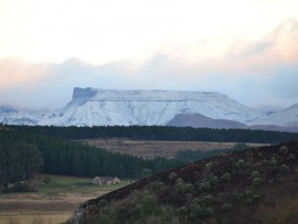Wildebeesthoek Ugie Eastern Cape Highlands, photo courtesy of Tony Tegg