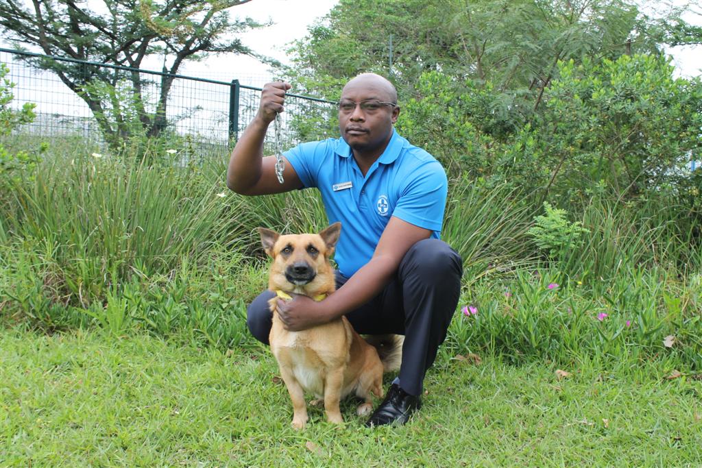 Zozo Kayumba of the Durban & Coast SPCA strongly condemns the chaining of animals. He is with two-year-old German Shepherd cross, Junior, that is available for adoption.