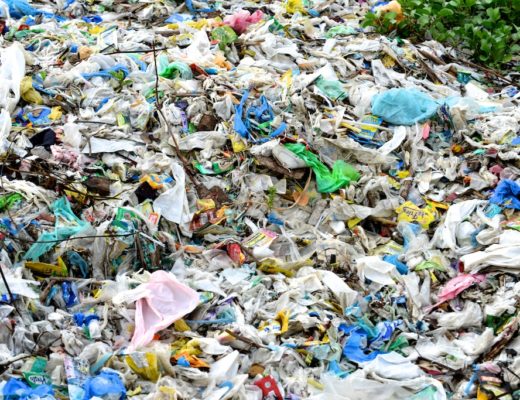  The Paper and Packaging Industry Waste Management Plan provides effective and efficient ways through which plastic bags can be recycled, thereby ensuring that they are diverted from landfill sites.