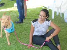 Three legged dog named Vee with volunteer Nadine Singh.