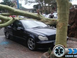 The driver and occupants of this vehicle were lucky to escape unharmed. PHOTO: Crisis Medical