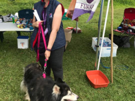 Organiser of the Game of Paws event, Farrah Khan Maharajh.