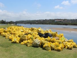 The Clean Blue Lagoon (CBL) hosted a clean-up on Saturday honouring the passing of volunteer Samantha Deale. An estimate of 900 bags of rubbish and litter cleaned from the lagoon was collected by DPAPP (Durban Partnership Against Plastic Pollution) . Dale Johnson who first started the #cleanbluelagoon called the day a critical clean-up and one of the worst incidence they have seen in a while. Johnson said the toxic nurdles that spilled onto Durban’s beaches following the recent storm had been the main cause of the terrible state of Blue Lagoon and Beachwood Mangroves.