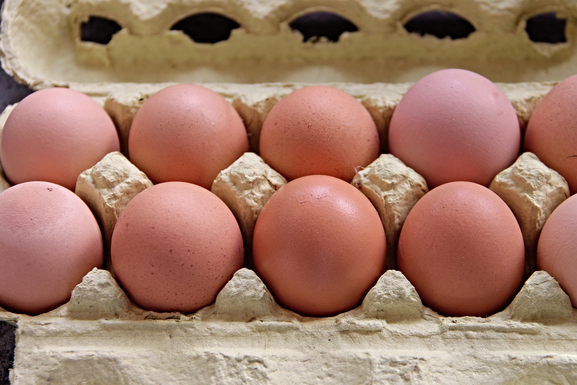 South Africa’s VAT system includes 19 basic food items that are zero-rated including eggs.