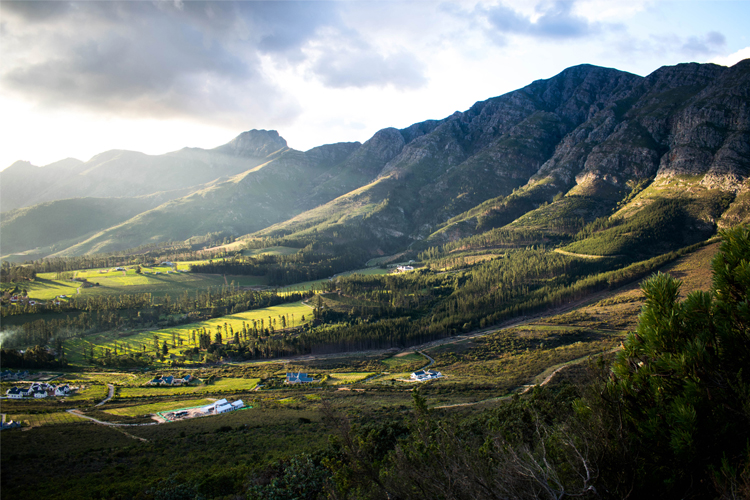 DENNIS COETZEE DSC_0046