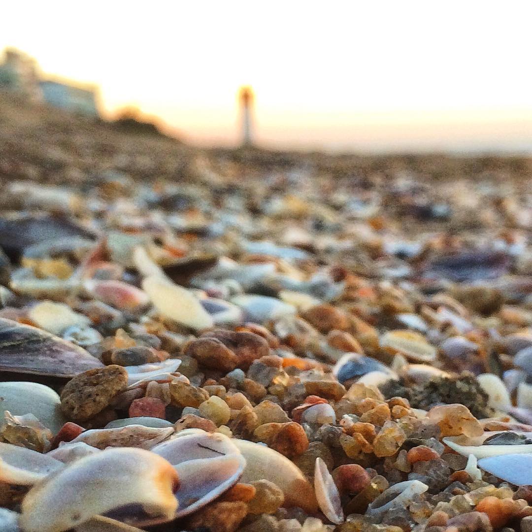 DR GRANT HARPER morning walk