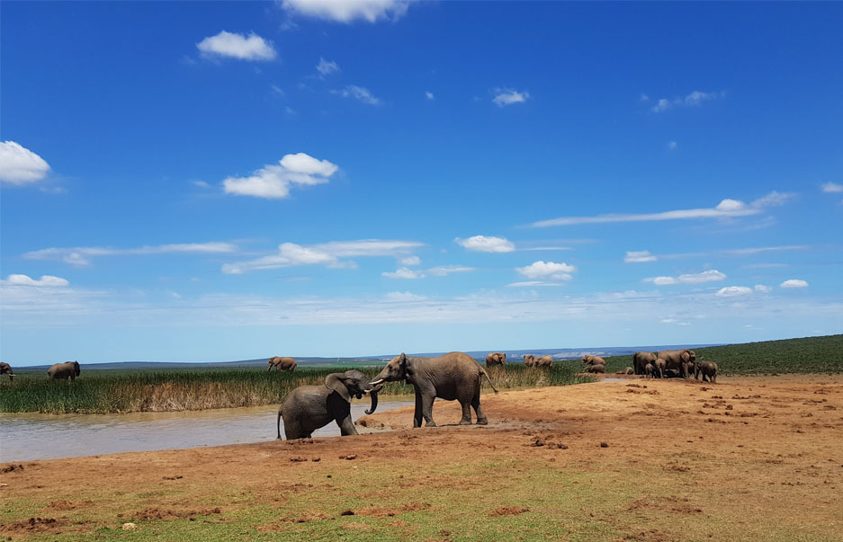 LEIGH-ANN AINGWORTH 20180919_185310