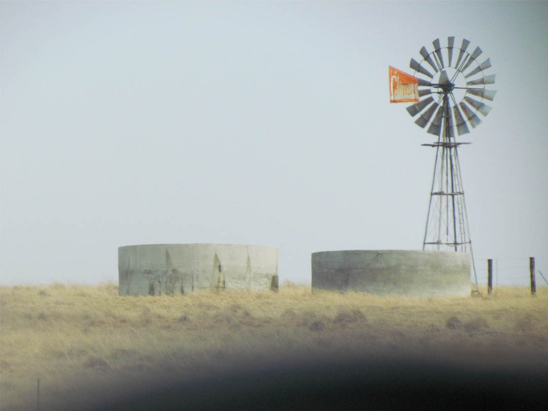 LIZELLE BLAIR DIANA BLAIR ENTRANT IMG_3349 copy