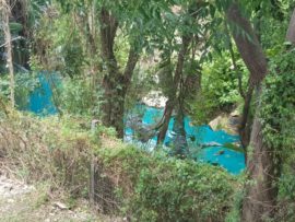 The stream has changed colours at different times this year with the source of the pollution unknown at this stage.
