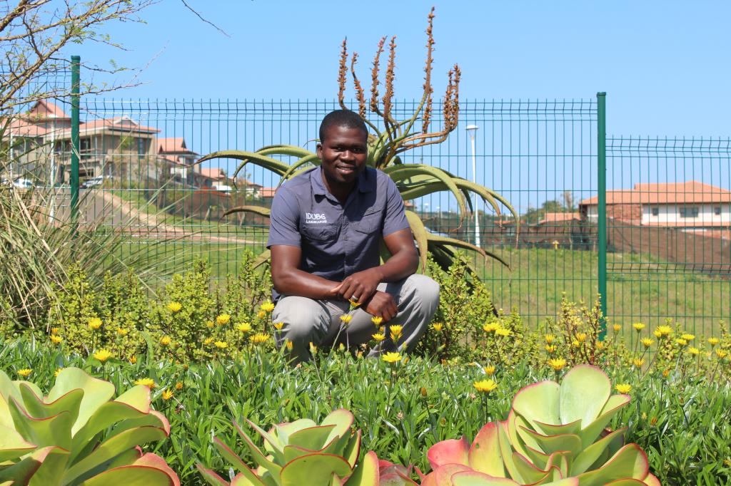 Phumlani Mhlongo who works for a landscaping company in front of his verge at the Izinga Estate which will be one of many vying for a top spot in the eThekwini Municipality's Verge Competition.