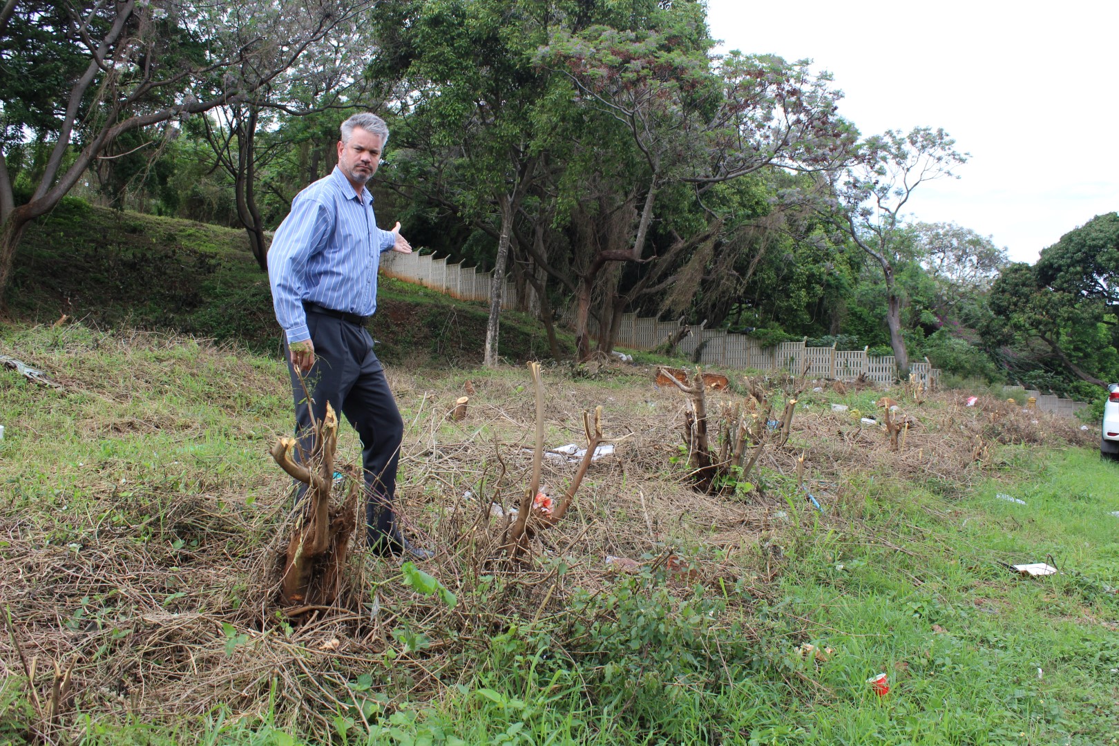 Ward councillor, Pete Graham, said he was furious over the cutting back of bush alongside Ryde Place. He is concerned that the cleared path at the Malacca Road/Ryde Place intersection will lead to increased dumping.