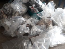 The total estimated value of the recovered abalone is R72 840. PHOTO: Submitted